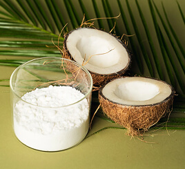 Coconut Milk Powder